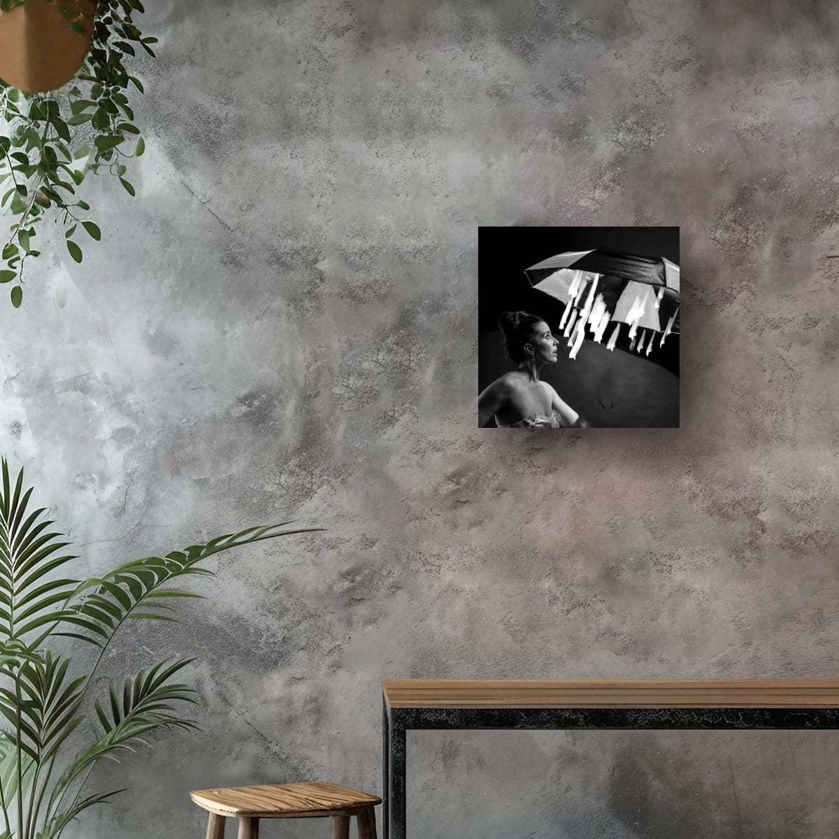 Black and white photo Magical Starlight on a textured gray wall with plants and a wooden stool.
